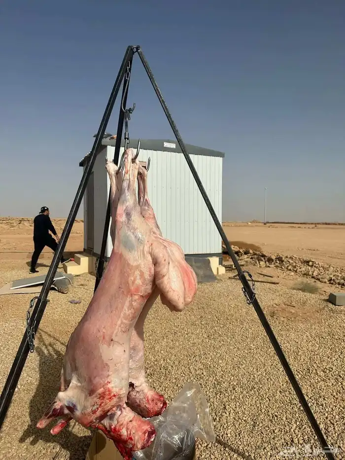 معلم مشويات شواي 2