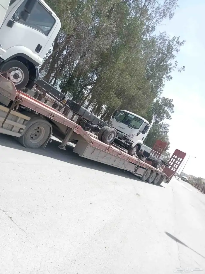 لوبد كبير 12