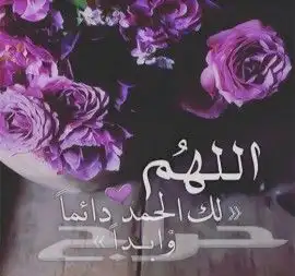 نحل غنامي عسال وانواع العسل الطبيعي الدوئي ويوجد خدمةالتوصيل 21