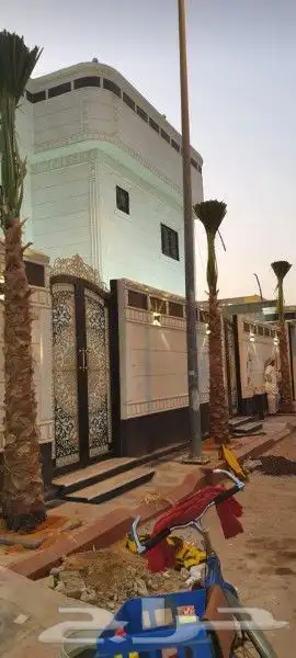 نخل واشنطن وعربي للبيع 4