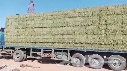 حراج برسيم وذره وتبن ورودس 3