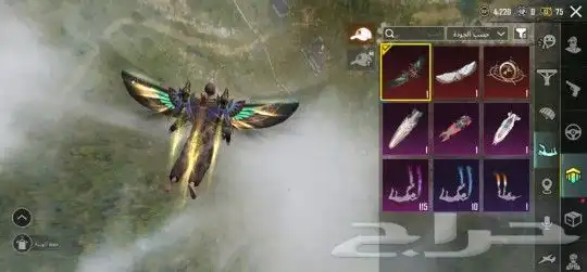 حساب ببجي لا بيع 8