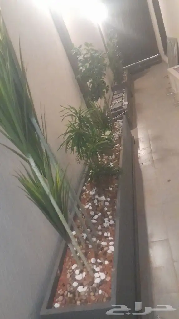 مشتل تنسيق حدائق 0