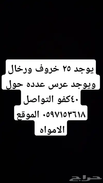 التواصل اتصل الموقع الامواه عدم التواصل في اليل 0