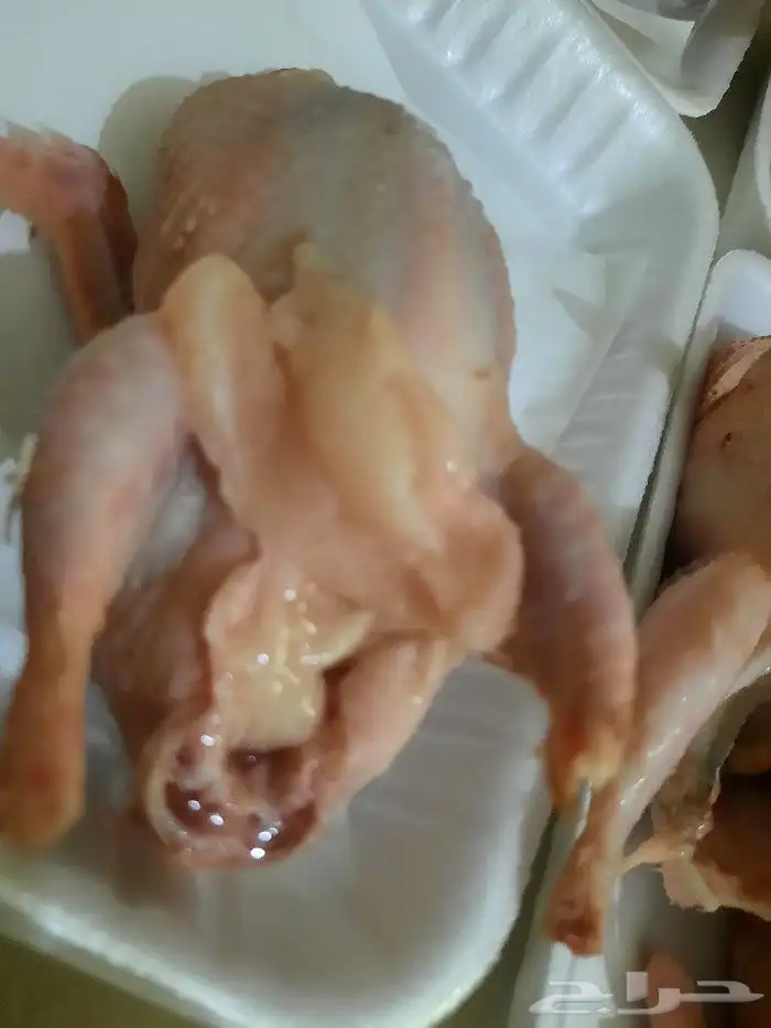 سمان مذبوح 2