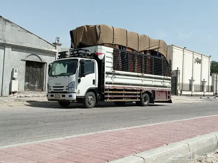 نقل عفش الخبر الدمام الريض 0