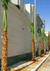 مزارع ومنسق حدائق 5