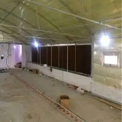 انا مشرف وخبير علي مزارع الدجاج التسمين 9
