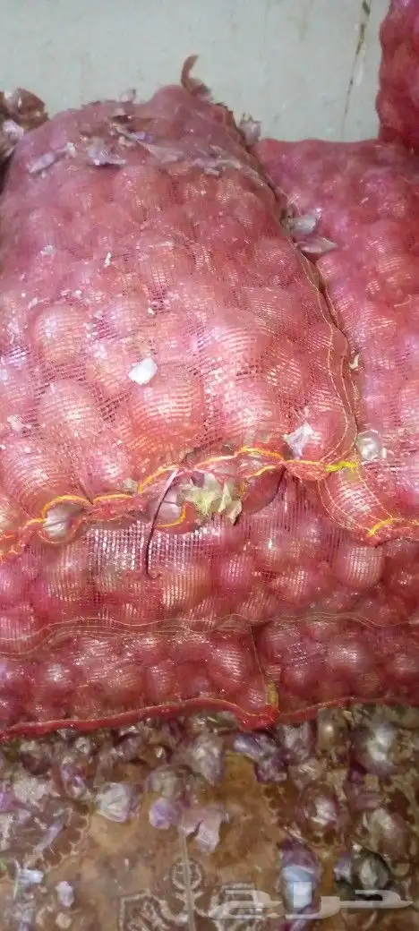 بصل سوداني درجه اولى 35كيلو 0