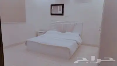 استراحة شاهين 4
