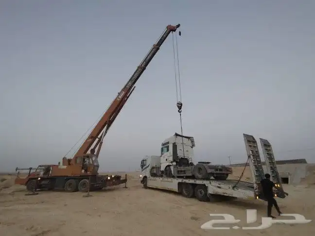 تدانو ونش 2025 2