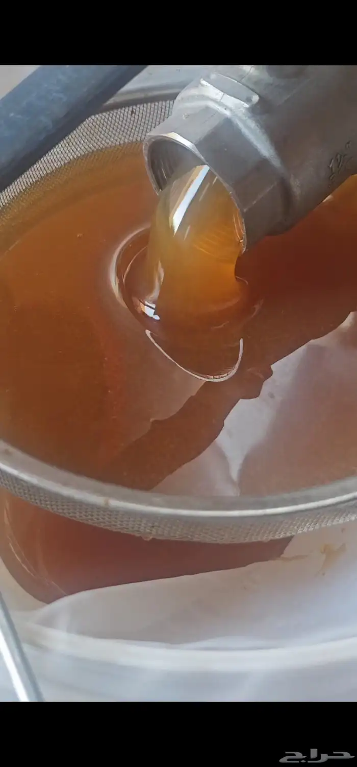 عسل سدر جودة وريحة وطعم من انتاجي 0