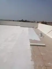 دهان شروره 8