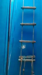 شركة تنظيف منازل تنظيف خزانات الباحة والمخواة وبلجرشي 6