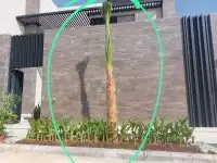 تنسيق حدائق 6