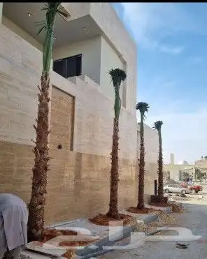 نخل واشنطن زينه نقوم بتوريد وتركيب وصيانة 8