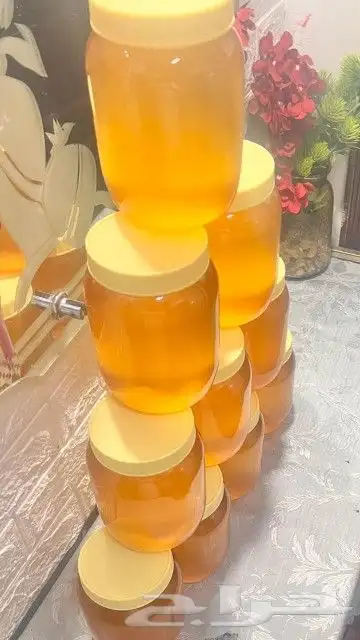 أكلات شعبيه لذيذه حسب الطلب وسمن غنم صافي بدون إضافات 4