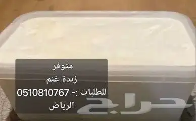 لبن بقر وغنم شرط أمام الله 3