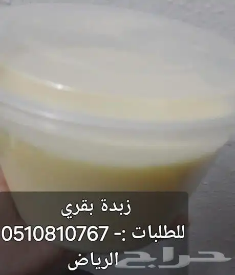لبن بقر وغنم شرط أمام الله 2