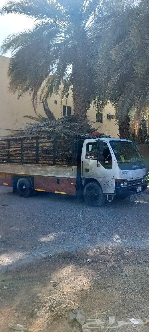 سعف نخل جريد حملة دينة شامل التوصيل لجميع انحاء المملكه 3