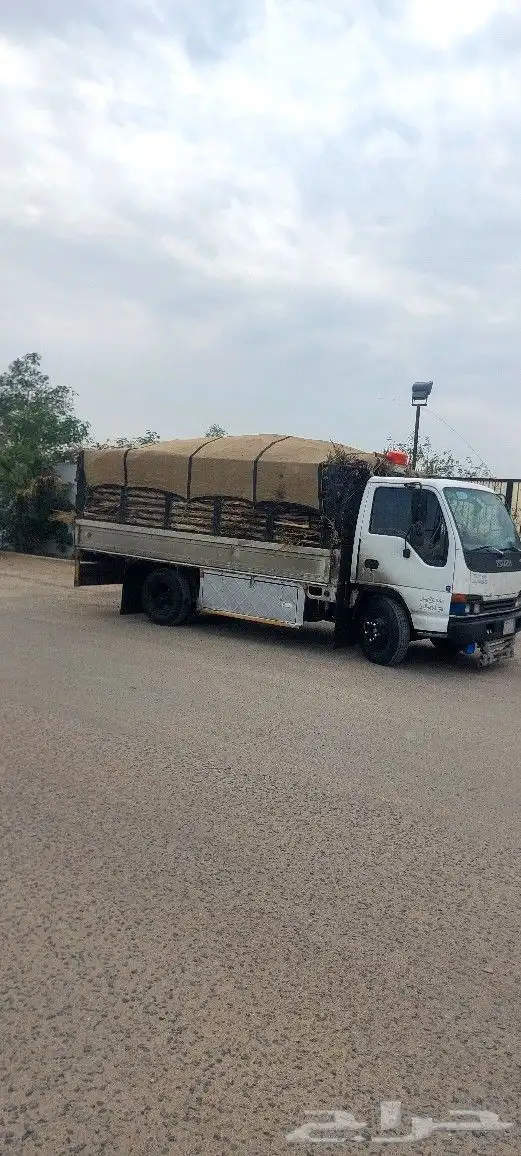 سعف نخل جريد حملة دينة شامل التوصيل لجميع انحاء المملكه 1