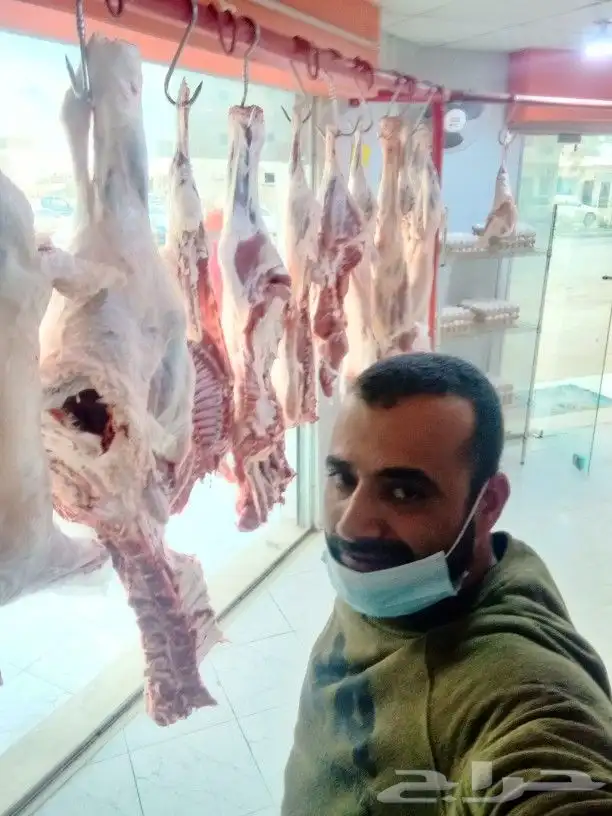 جزار مصري معلم ملحمه ابحث عن شعل 0