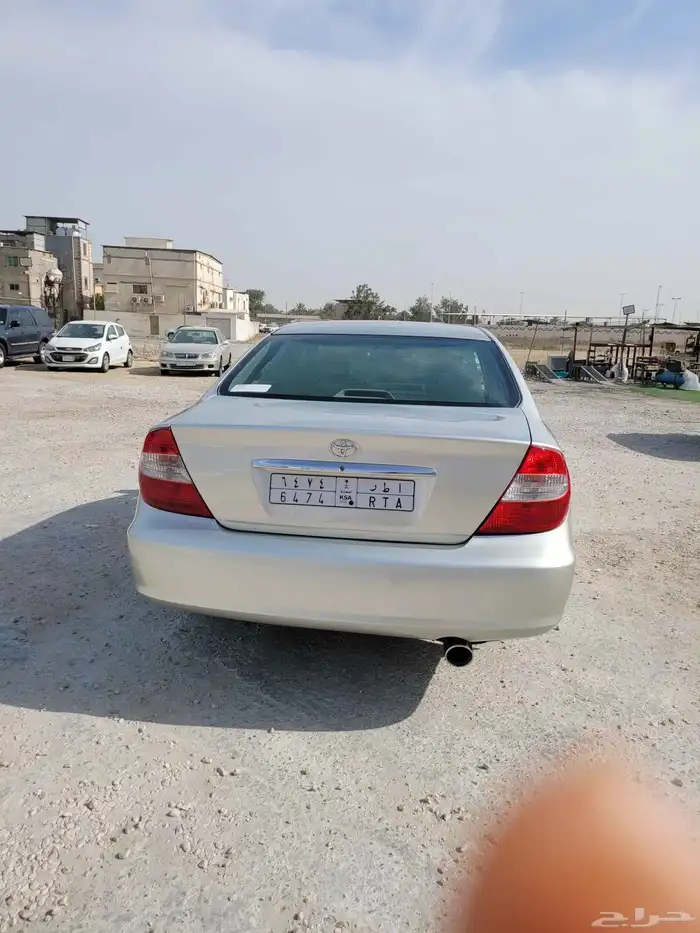 القطيف 2