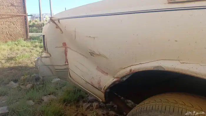 كابرس 1988 غير مجدد و غير مفحوص 6