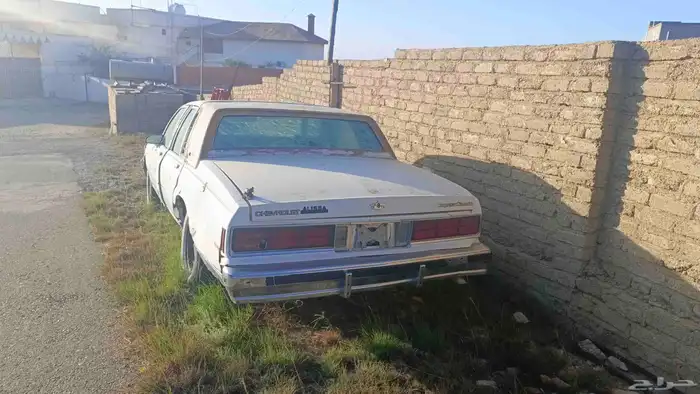 كابرس 1988 غير مجدد و غير مفحوص 1