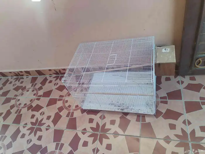 قفص عصفير كبير 1