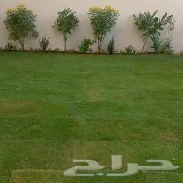 زراعه وتنسيق الحدايق 4