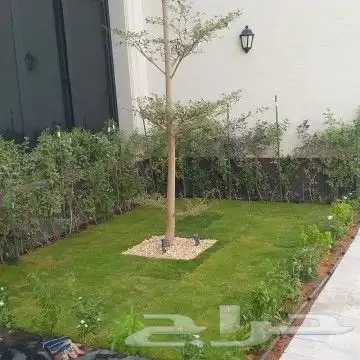 زراعه وتنسيق الحدايق 1