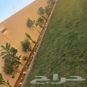 زراعه وتنسيق الحدايق 8