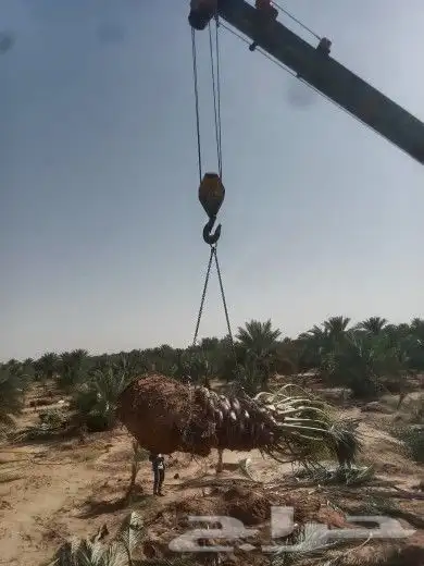 لجميع انواع انخل وجميع انواع الشبوك شبوك مزارع شبوك ملاعب 3