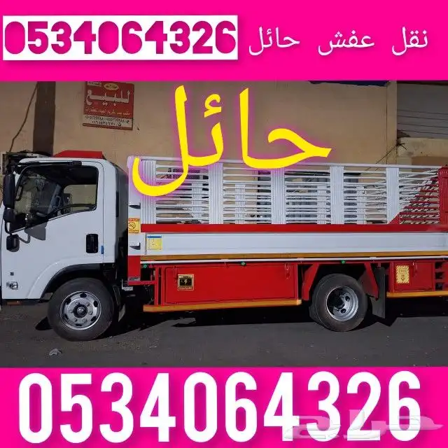 نقل العفش فك وتركيب حائل 0