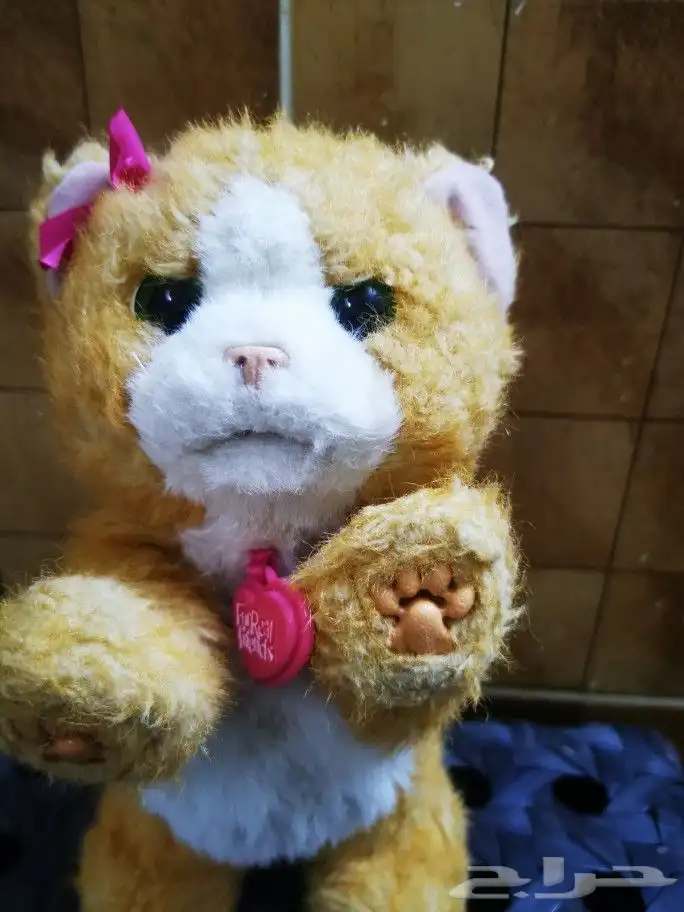 مجموعه العاب 5