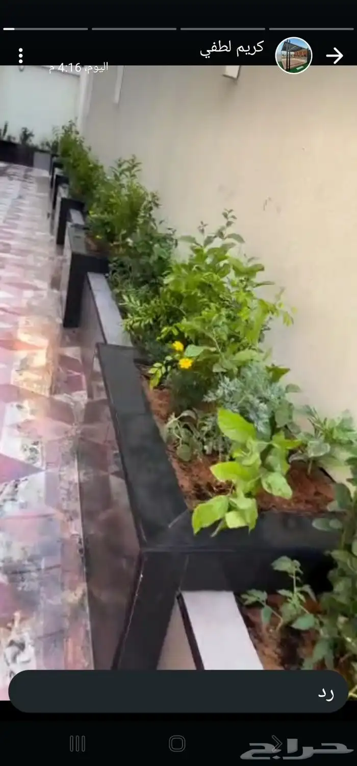 تنسيق حدائق طبيعيه 9