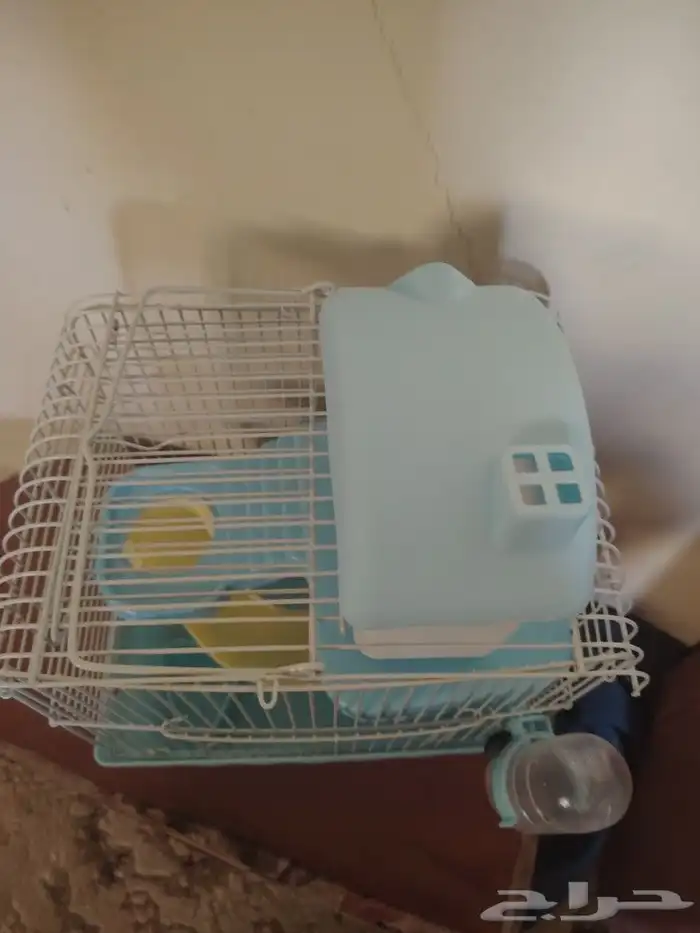 قفص هامستر 1