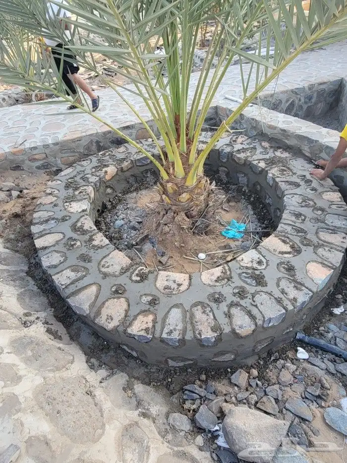 معلم حجر مشيت جلسات تلابيس 6