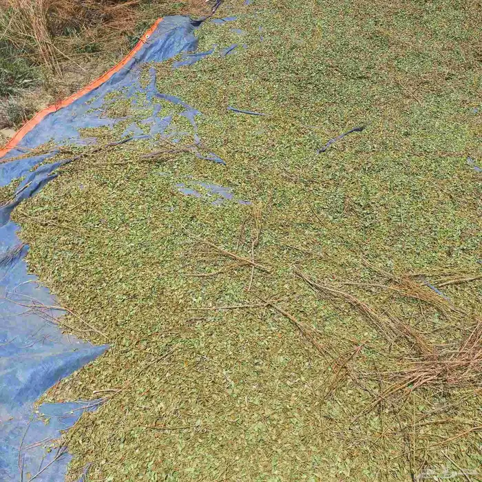 حناء ورق كميات 2