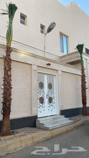 نخل واشنطونيا 5