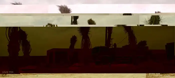 نخيل عربي جميع المقاسات متوفرة نخيل واشنطني زينه 4