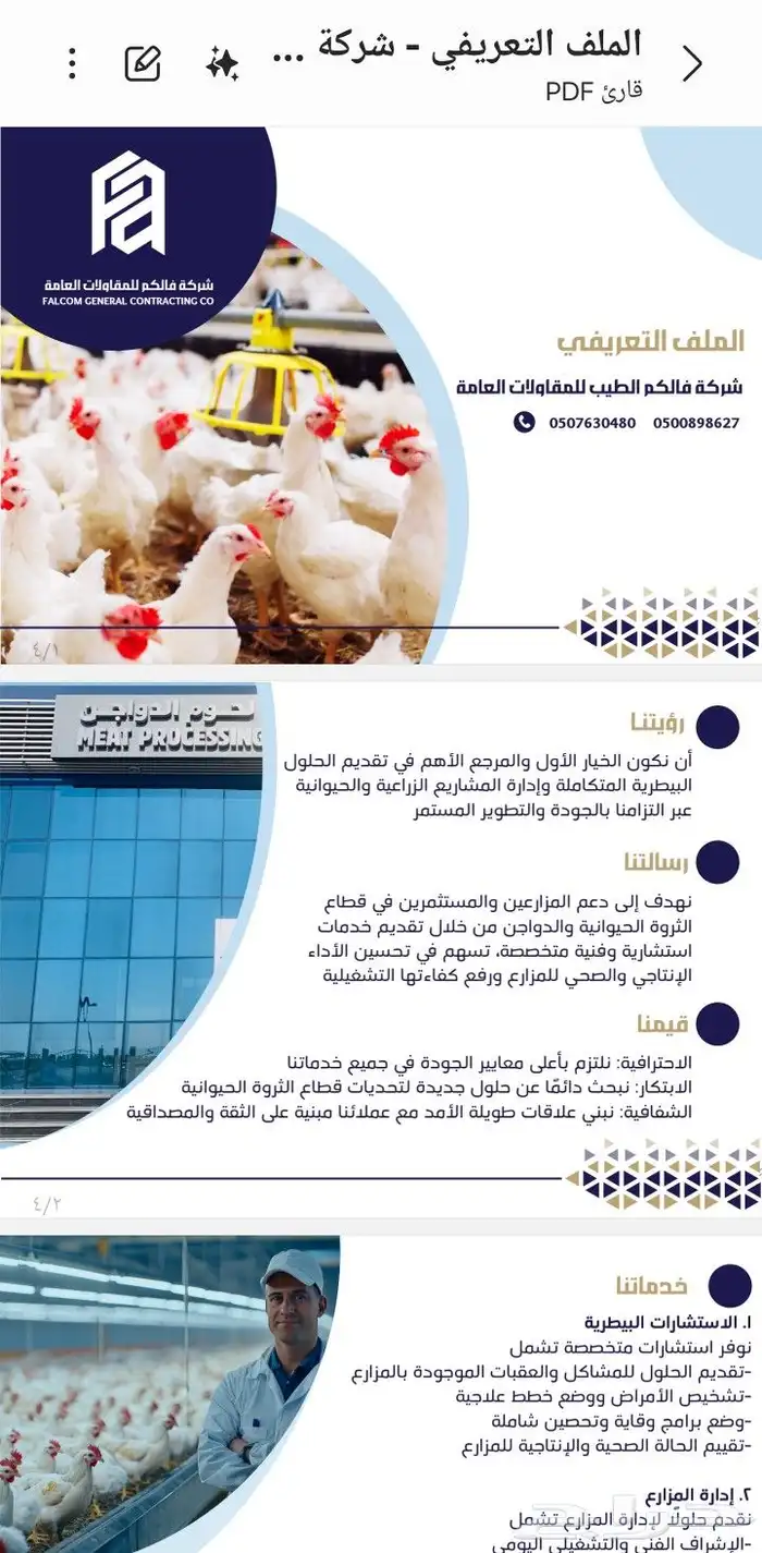 تصميم بروفايل وملفات تعريفيه للمؤسسات والشركات والمكاتب 0