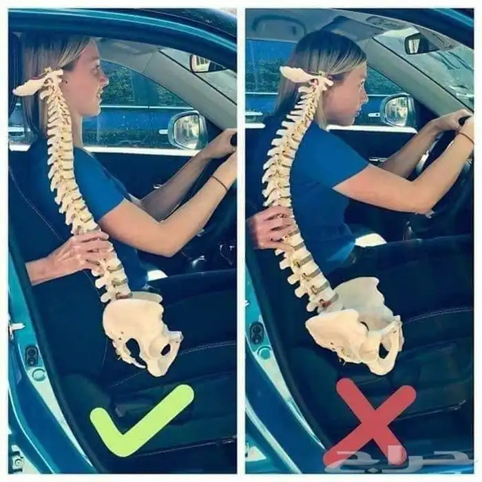 مدرب قياده سيارات 4