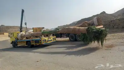 فور كلفت سطحه ونش للنقل والمشاوير  جده الحمدانيه ابحر ذهبان 4