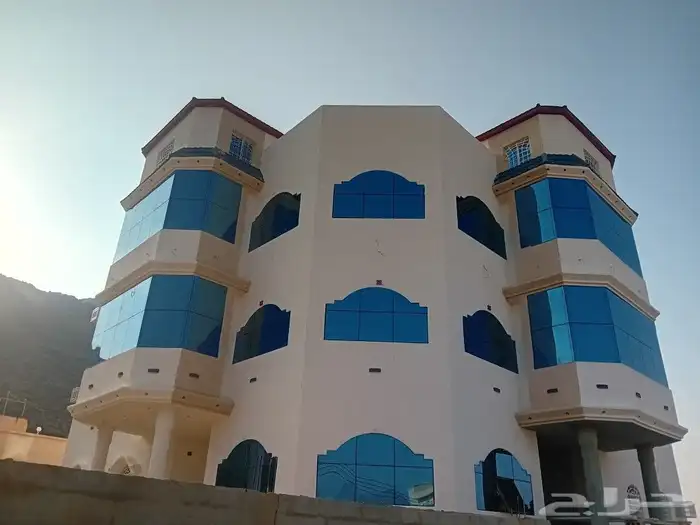 معلم باكستاني دهانات جرافيت داخلي وخارجي 8