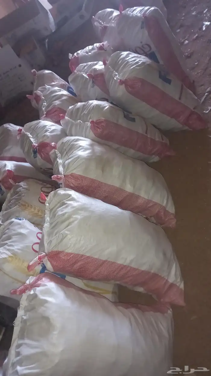 عيش للمواشي للاغنام للبيع لتوصل 2