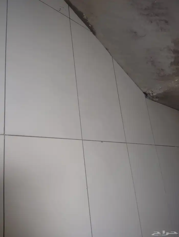 موسسة رغد لأعمال البناء والتلييس والبلاط والصبغ 2