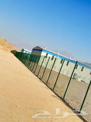 شبوك الشرقيه الاحساء الخبر الدمام 15