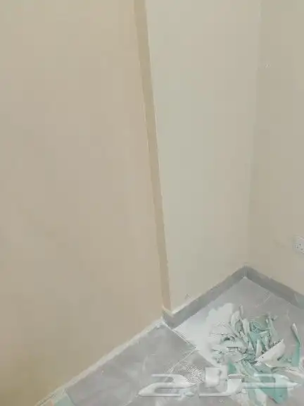 Painting teacher in Hail 8